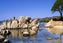 开云体育：2028年洛杉矶奥运会新增壁球、腰旗橄榄球等五个大项中国新闻网.